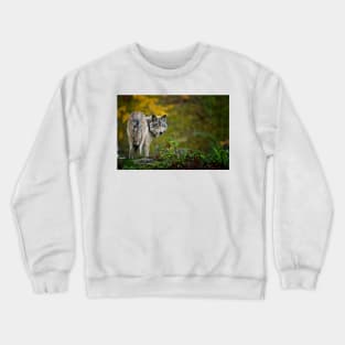 Gray Wolf Crewneck Sweatshirt